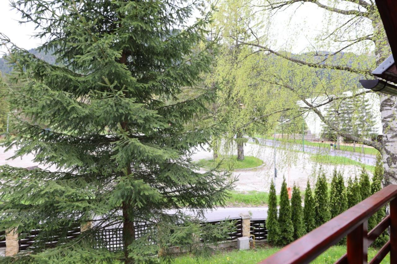 Vila Pinul Si Mesteacanul Poiana Brasov Εξωτερικό φωτογραφία