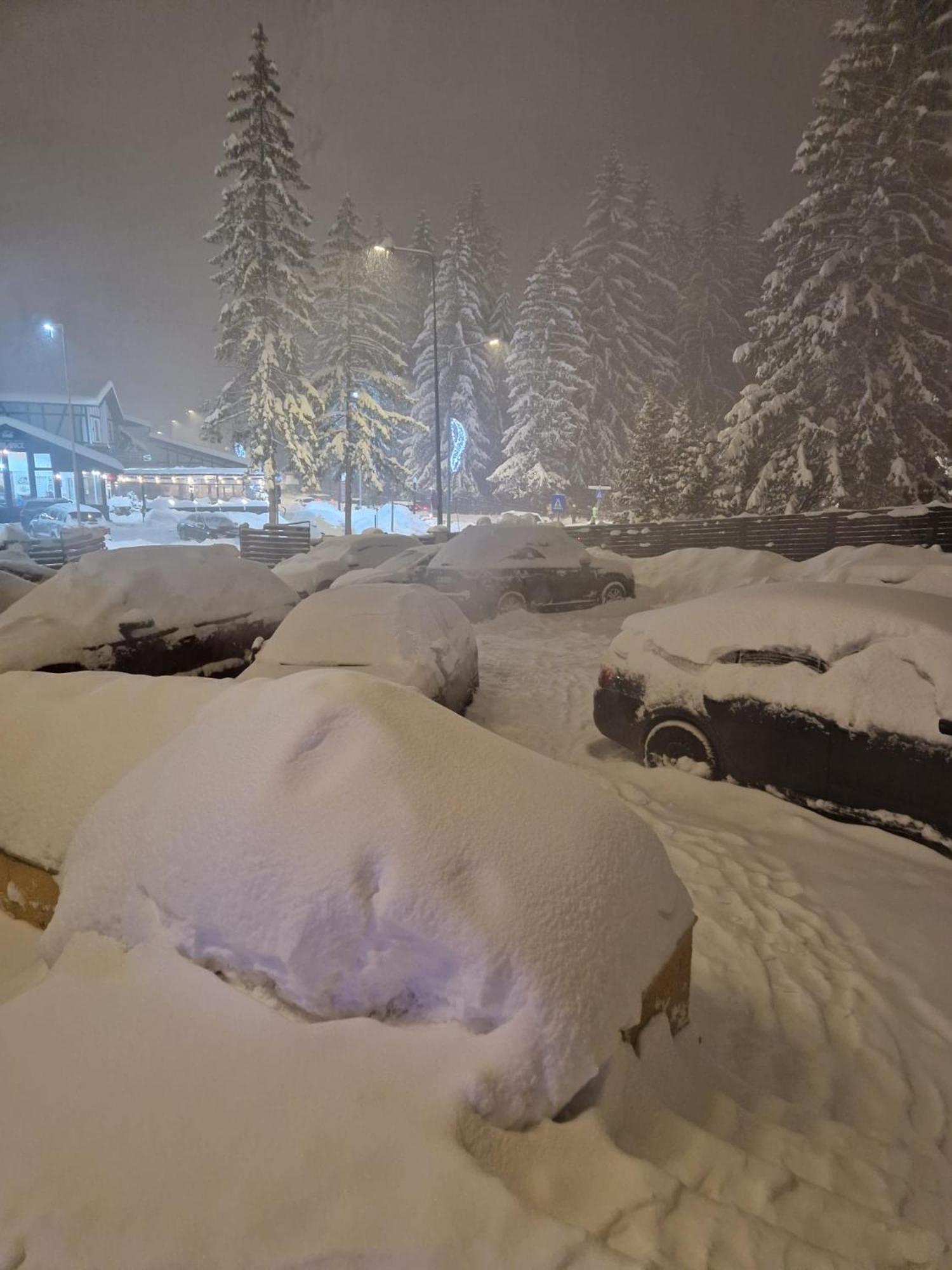 Vila Pinul Si Mesteacanul Poiana Brasov Εξωτερικό φωτογραφία