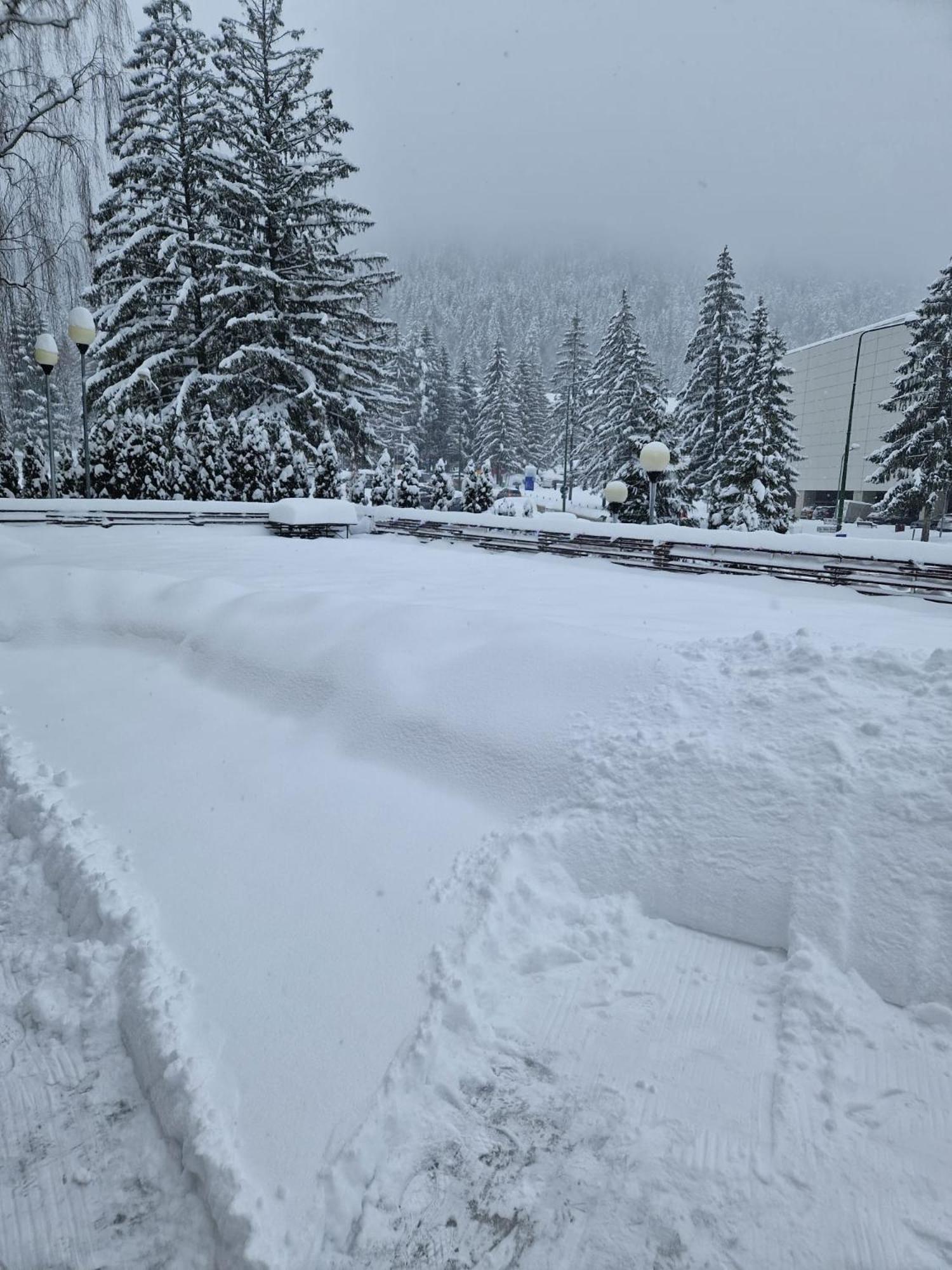 Vila Pinul Si Mesteacanul Poiana Brasov Εξωτερικό φωτογραφία