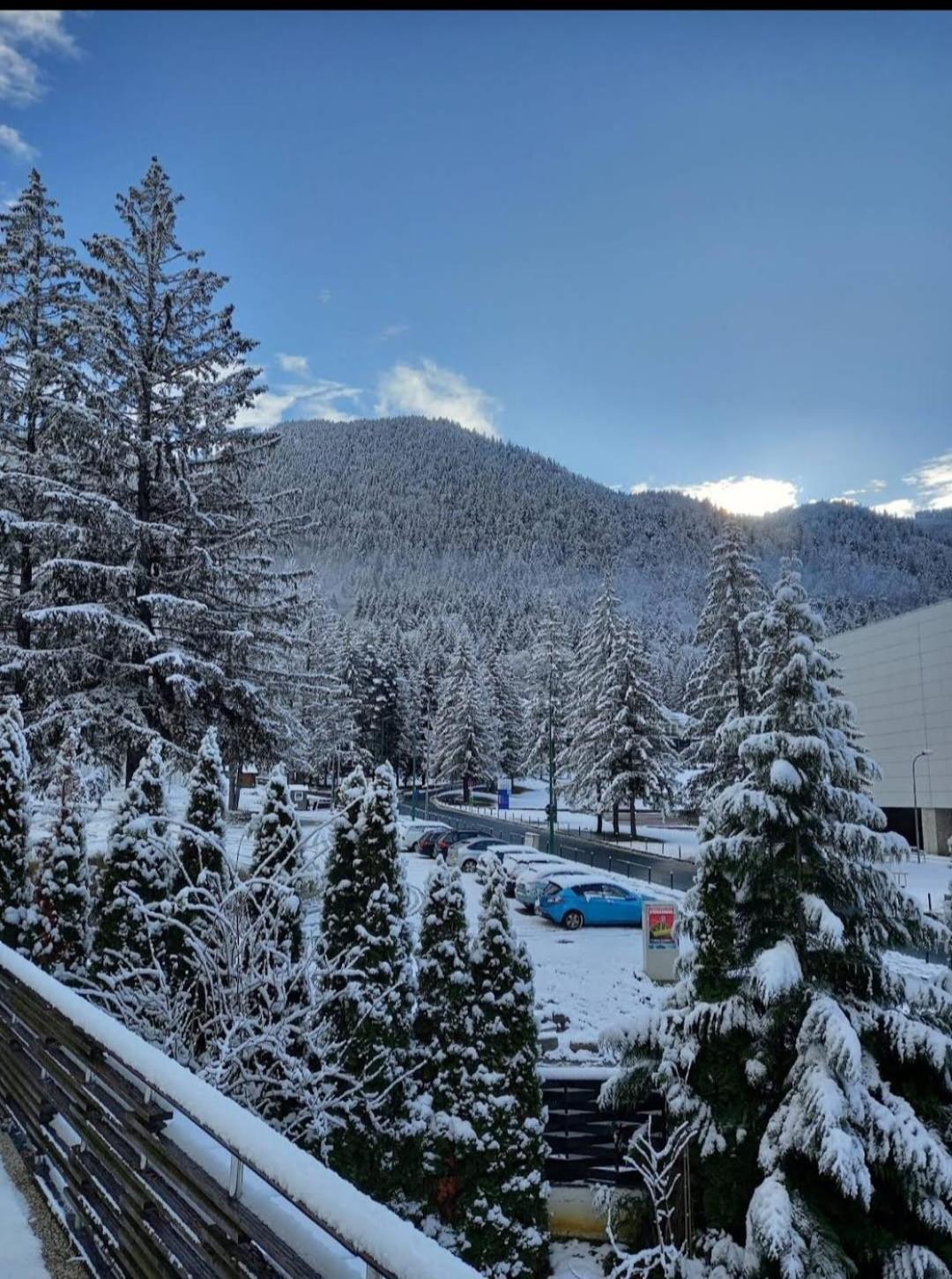 Vila Pinul Si Mesteacanul Poiana Brasov Εξωτερικό φωτογραφία