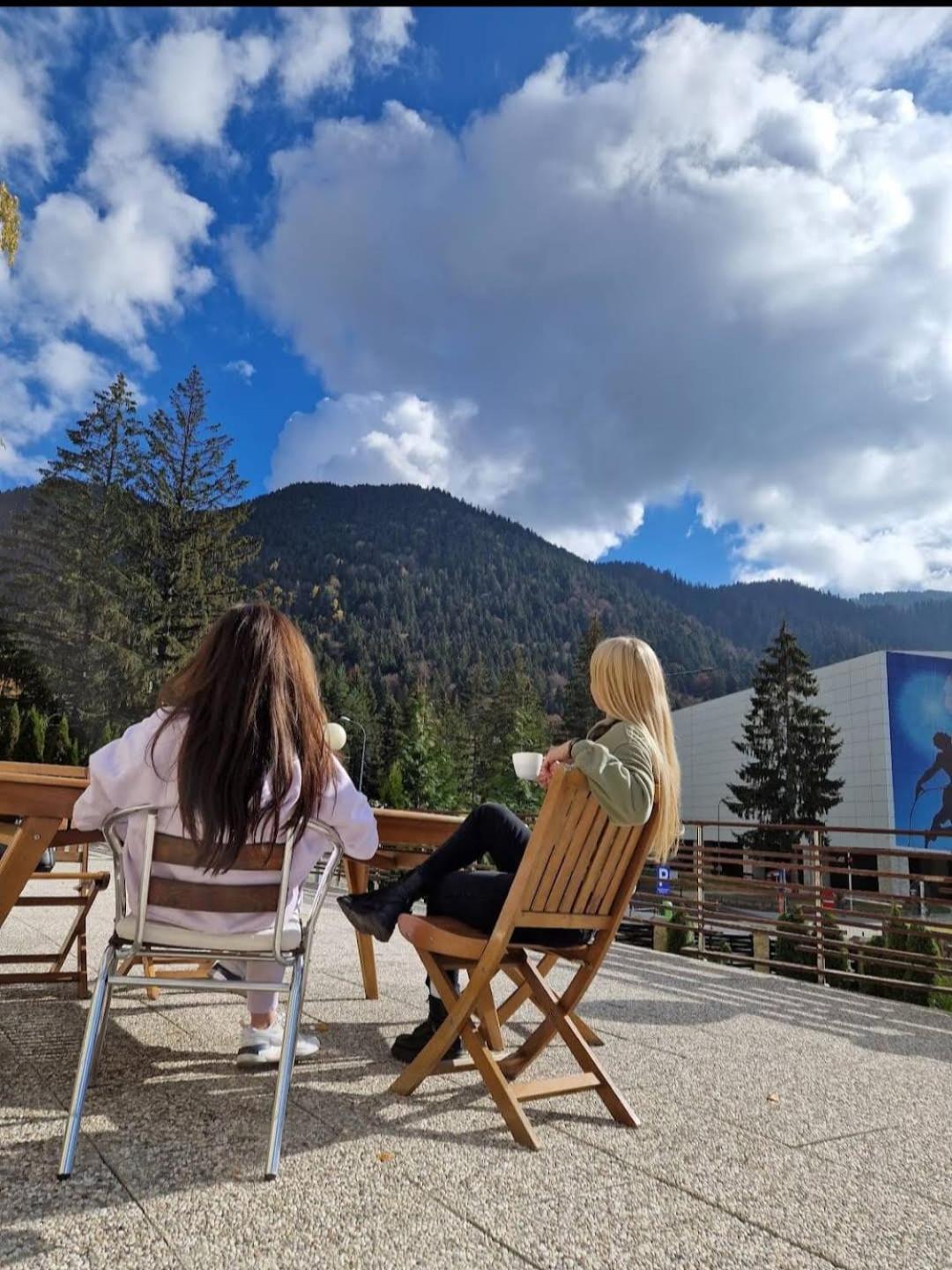 Vila Pinul Si Mesteacanul Poiana Brasov Εξωτερικό φωτογραφία