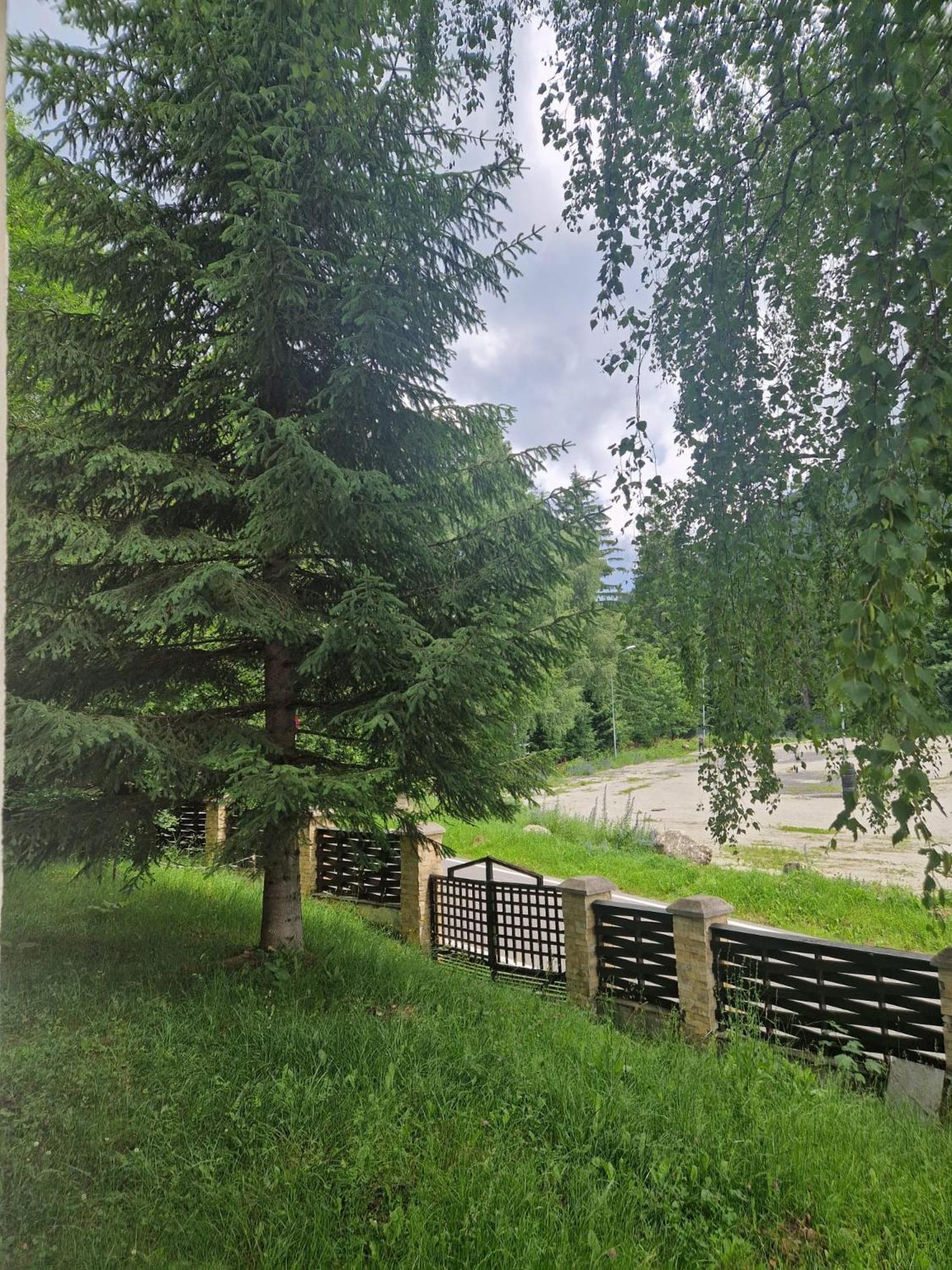 Vila Pinul Si Mesteacanul Poiana Brasov Εξωτερικό φωτογραφία