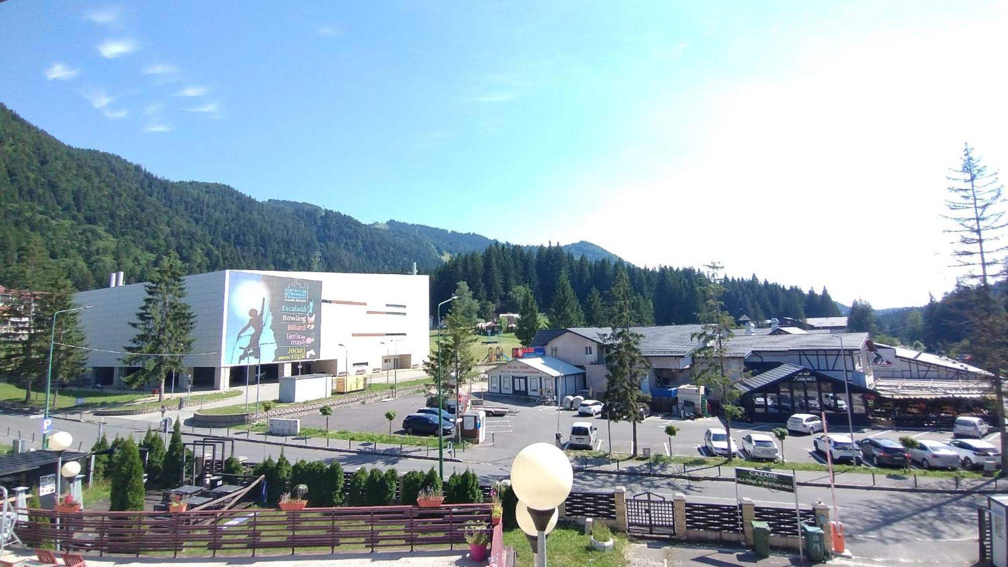 Vila Pinul Si Mesteacanul Poiana Brasov Εξωτερικό φωτογραφία